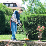 Stihl-FSE-71-a