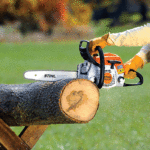 Stihl-ms-171