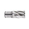 Eggenberg HSS Kernbohrer Weldon 19 – 39×55mm