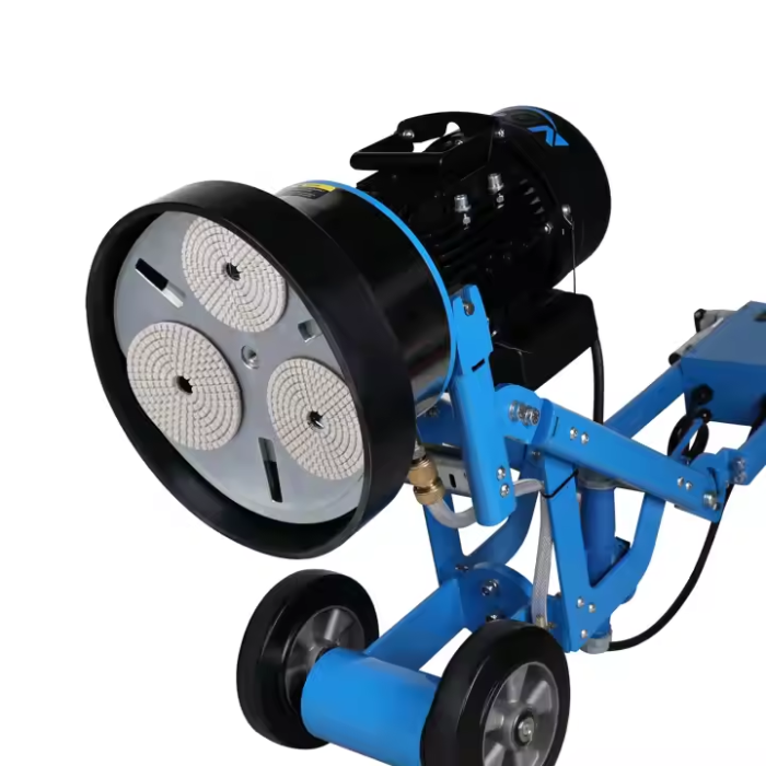 dfg300 2